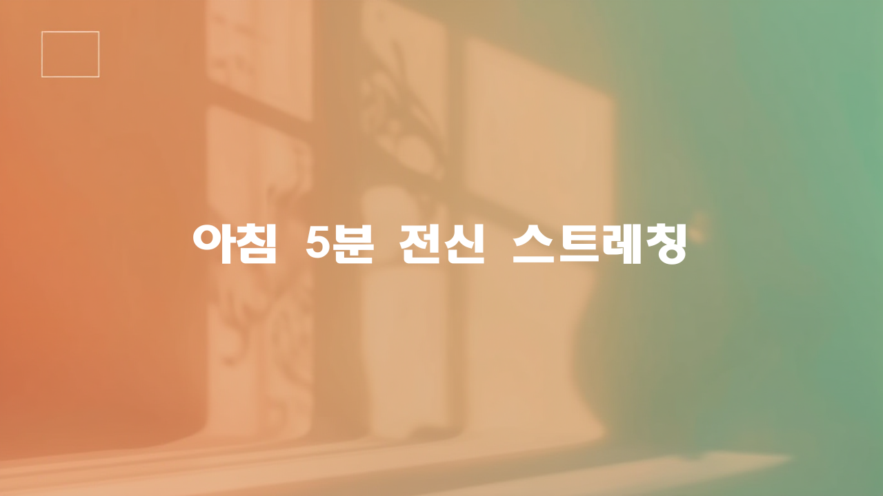 아침 5분 전신 스트레칭 루틴