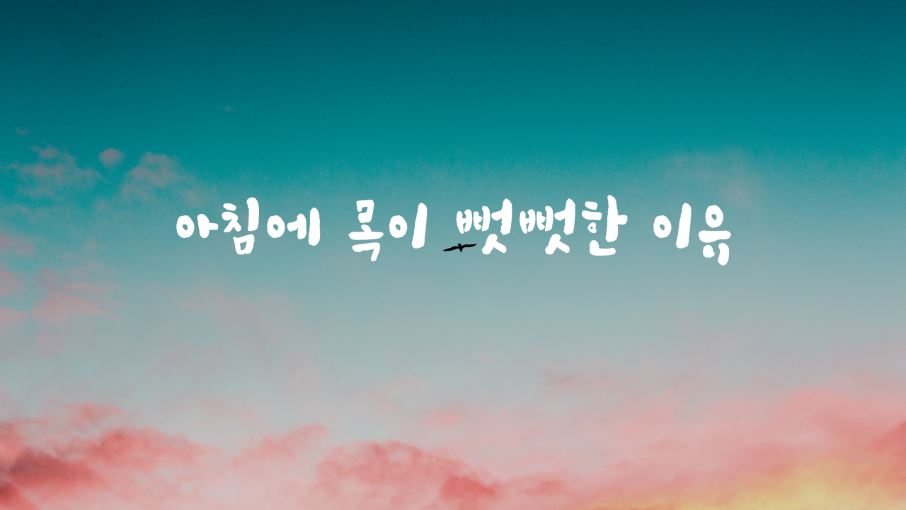 아침에 목이 뻣뻣한 이유