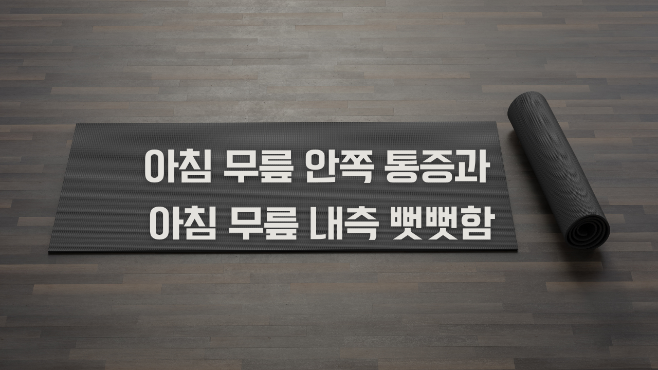 아침 무릎 안쪽 통증과 아침 무릎 내측 뻣뻣함