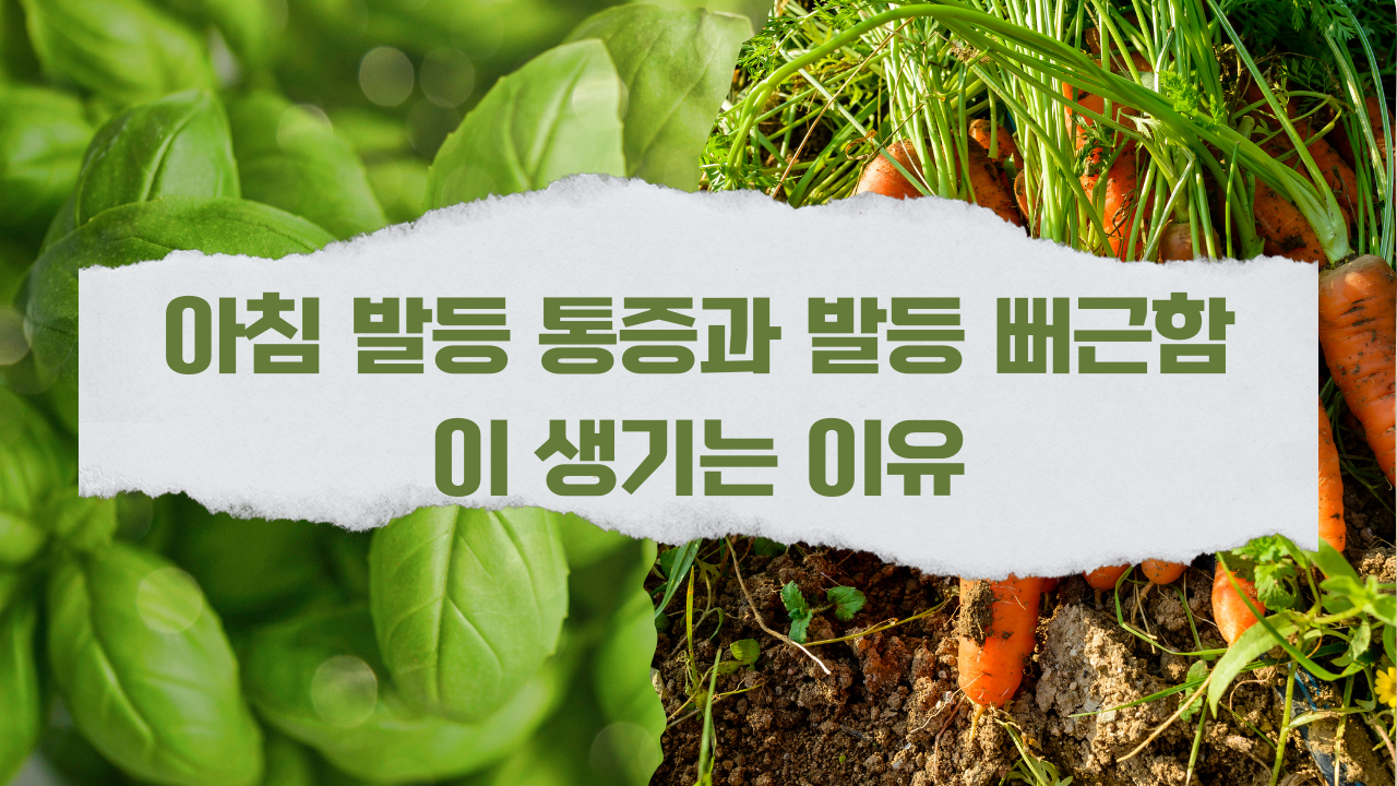 아침 발등 통증과 발등 뻐근함이 생기는 이유