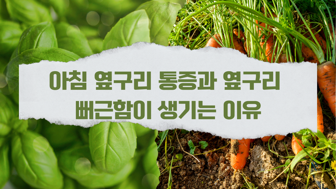 아침 옆구리 통증과 옆구리 뻐근함이 생기는 이유