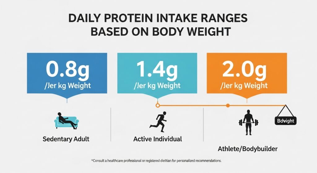 체중 기준 단백질 하루 섭취량 범위를 계단형으로 정리한 인포그래픽(0.8g, 1.4g, 2.0g 기준)